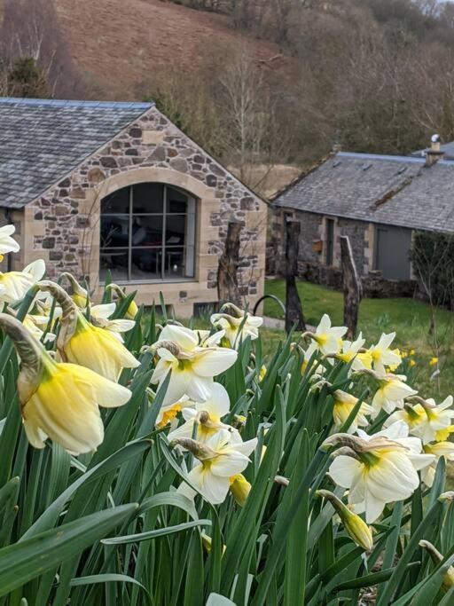 Woodmill Arches - Designer Barn Conversion For Two Apartamento Lindores Exterior foto